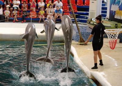 TOUR TO VARNA - DOLPHIN SHOW 3